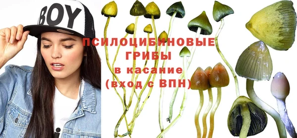 синтетический гашиш Абинск